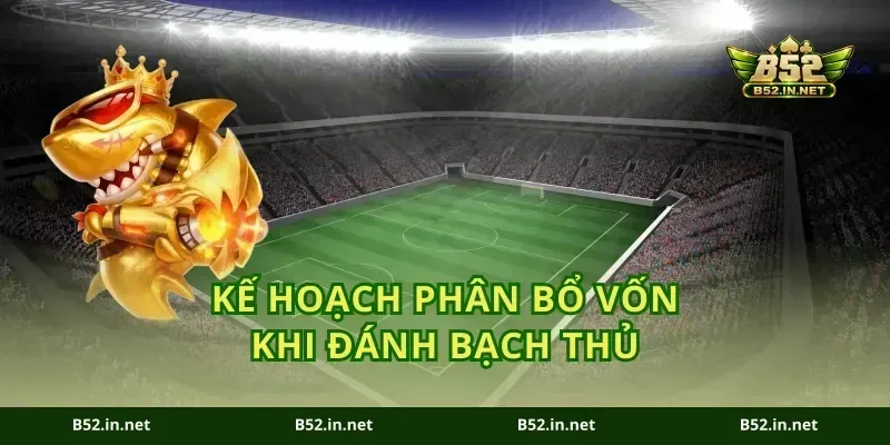 Kế hoạch phân bổ vốn khi đánh bạch thủ