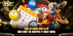 Cầu Lô Bạch Kim Là Gì? Bản Chất Và Nguyên Lý Hoạt Động 