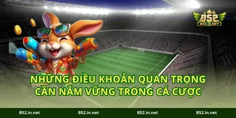 Những điều khoản quan trọng cần nắm vững trong cá cược
