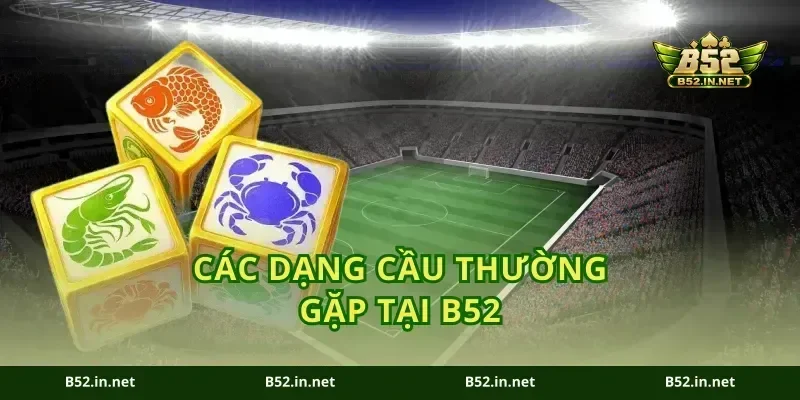 Các Dạng Cầu Thường Gặp Tại B52