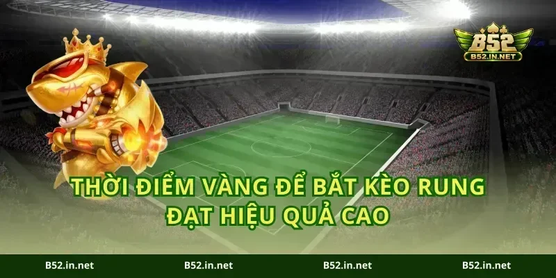 Thời điểm vàng để bắt kèo rung đạt hiệu quả cao